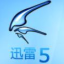 老版迅雷5.8免安装版下载-老版迅雷(支持磁力) 最新版下载