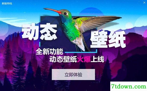 360小鸟壁纸下载截图