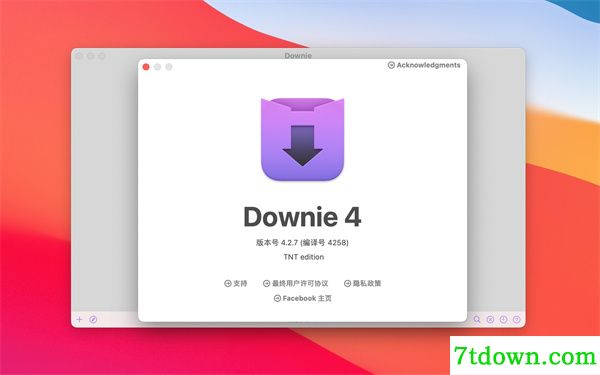 Downie4内购版