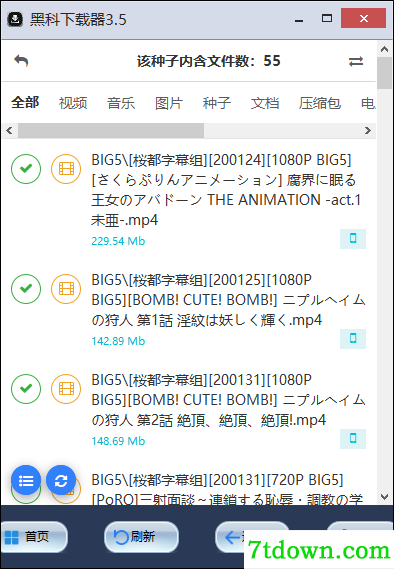黑科下载器怎么下载视频