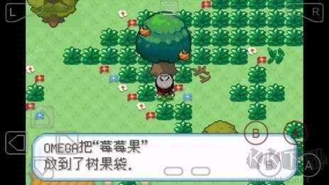 口袋妖怪剑盾加强版 v2024.08.13.17安卓版