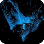 RealFlow2021中文版下载-RealFlow v2021 最新版下载