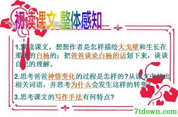 白杨PPT课件人教版