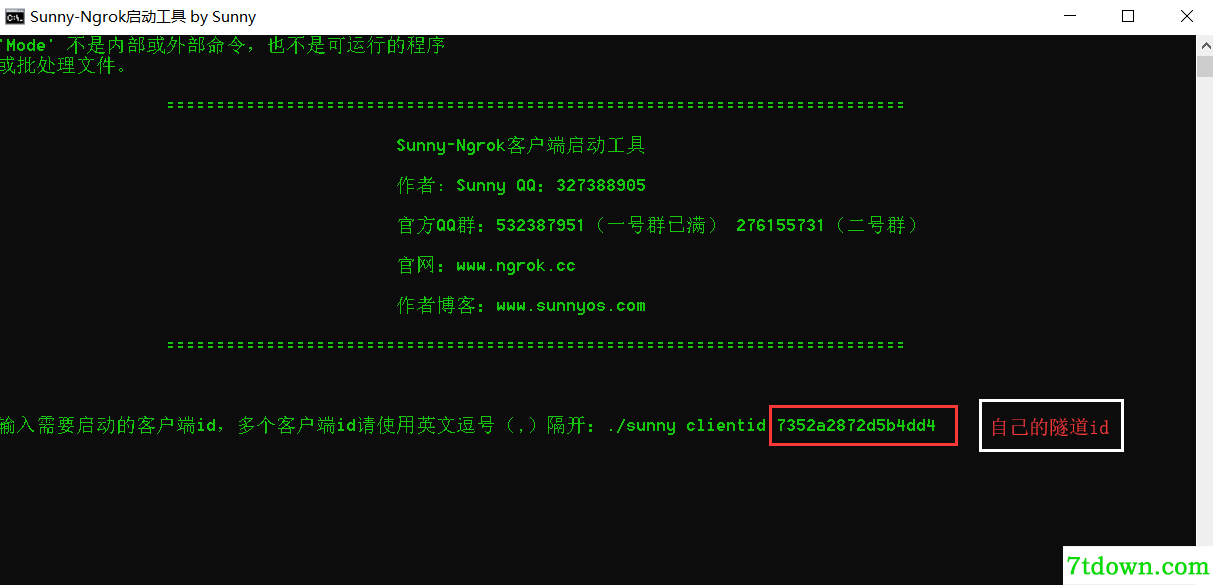 ngrok-gui内网穿透软件V1.0 中文绿色版