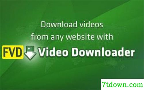 FVD Downloader插件下载功能特点