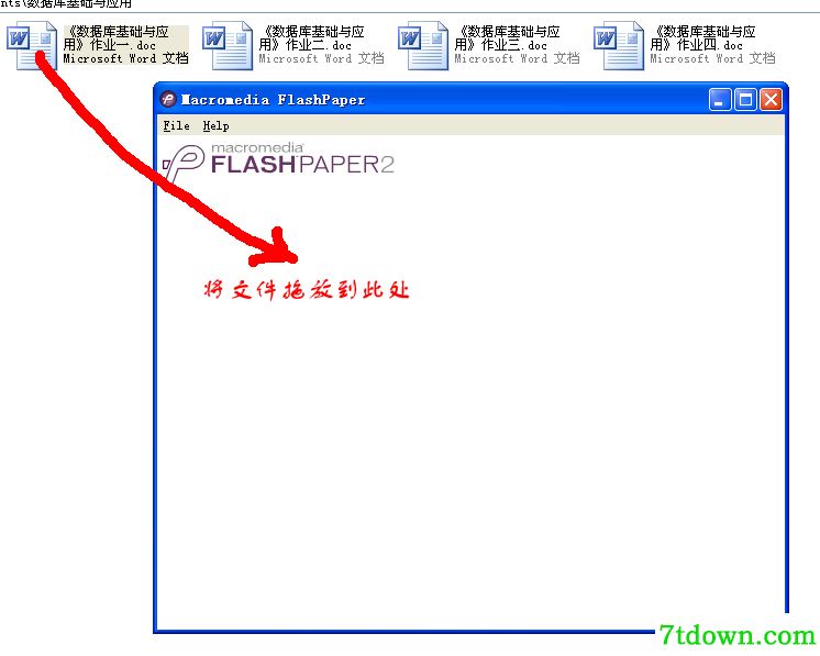 Macromedia Flash Paper