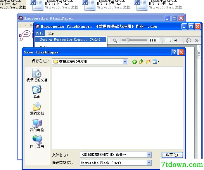 Macromedia Flash Paper