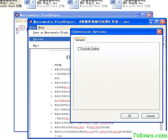 Macromedia Flash Paper