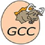 GCC编译器电脑版下载-GCC编译器 V8.3.0最新版下载