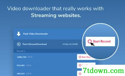 Flash Video Downloader Pro