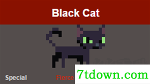 Black Cat