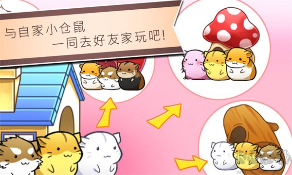 仓鼠的生活游戏(Hamster Life) v4.8.4安卓版