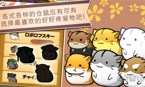 仓鼠的生活游戏(Hamster Life) v4.8.4安卓版