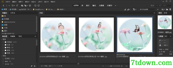 bridge2020 增加加功能4