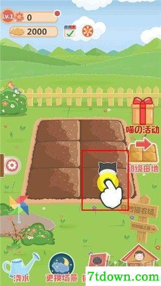 奇妙猫之家