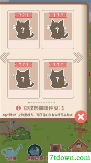 奇妙猫之家
