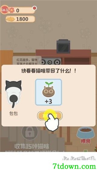 奇妙猫之家