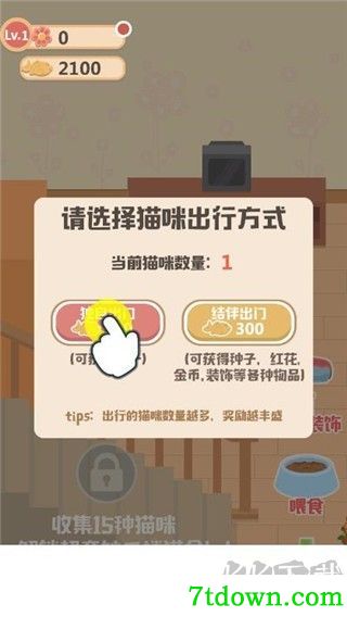 奇妙猫之家
