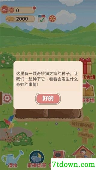 奇妙猫之家