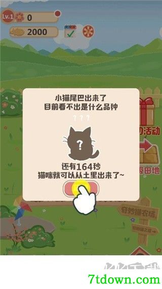 奇妙猫之家