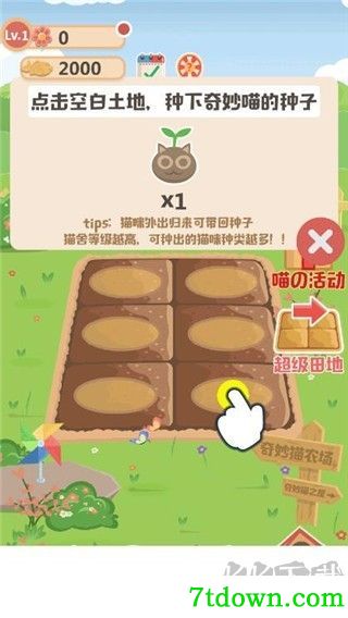 奇妙猫之家