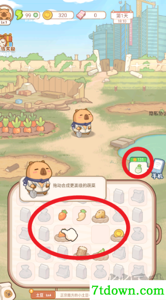 慢豚豚的生活