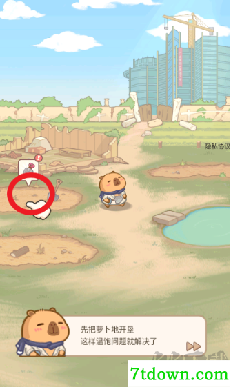 慢豚豚的生活