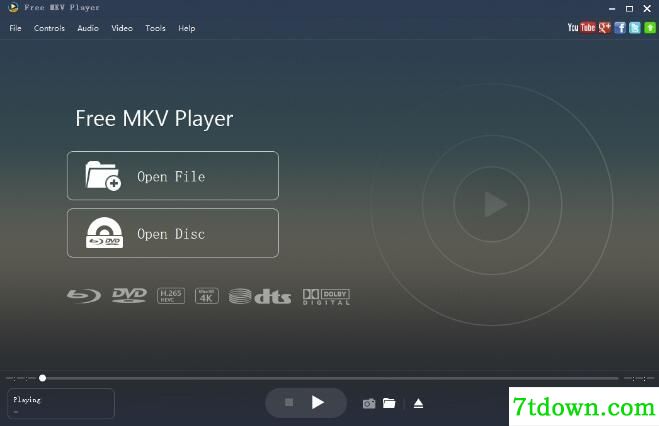 Aiseesoft Free MKV Player