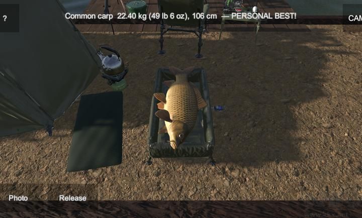 鲤鱼垂钓模拟器手游版 v1.0.2安卓版