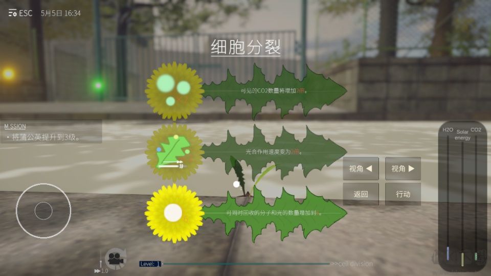 蒲公英不屈