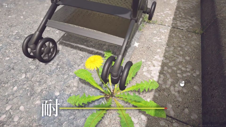 蒲公英不屈
